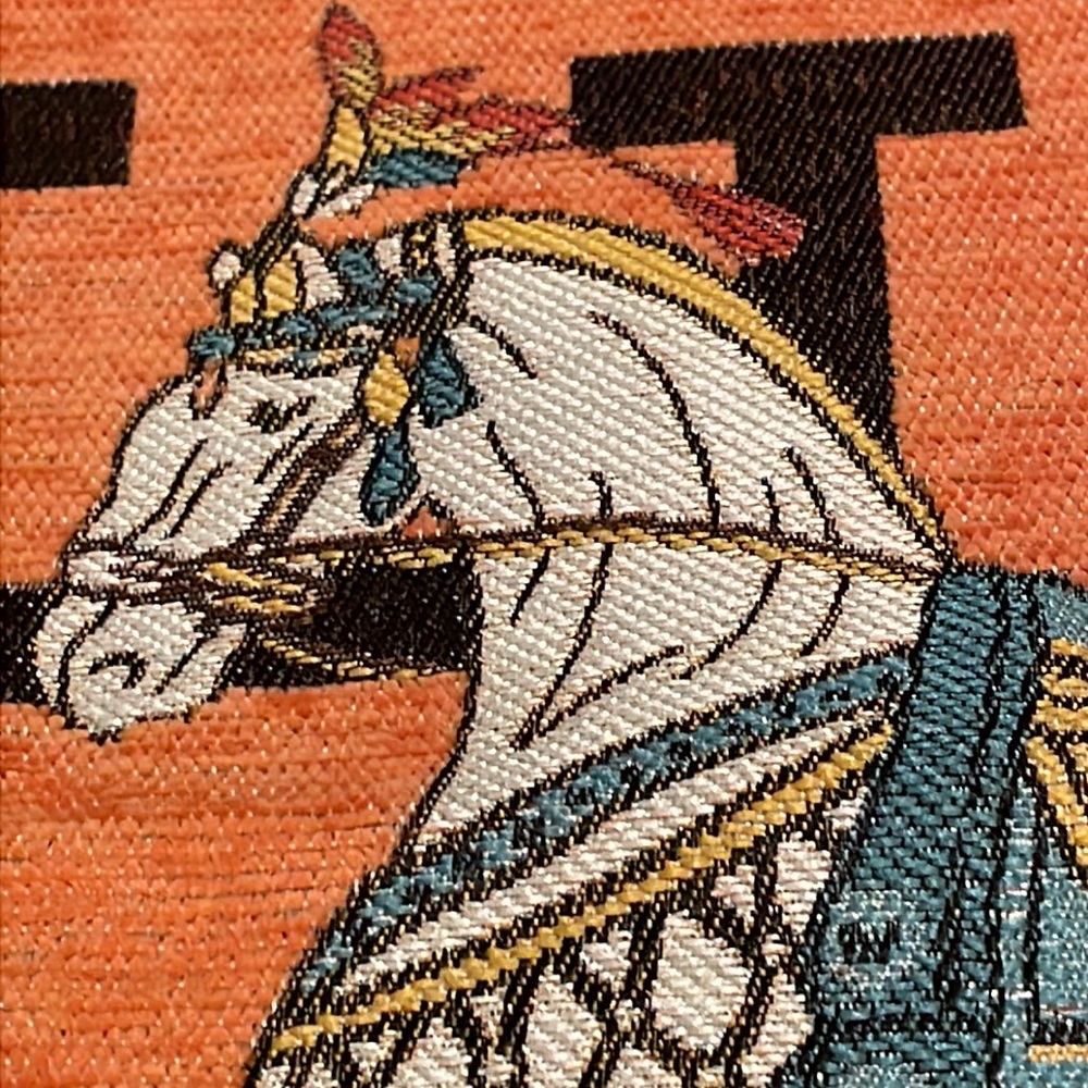 2 Orange Pillow Case H Fancy Show Horse Paris Home NWOTS - Picture 5 of 5